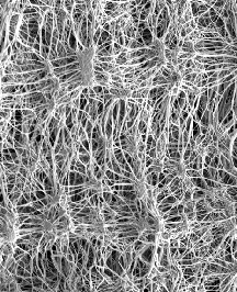 DeWAL Materials 101 - Expanded PTFE 1