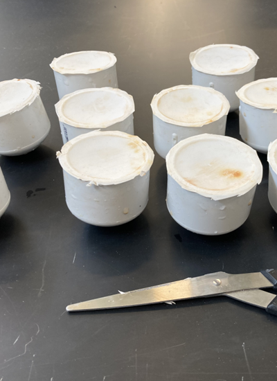 Vessels after testing with membranes on top