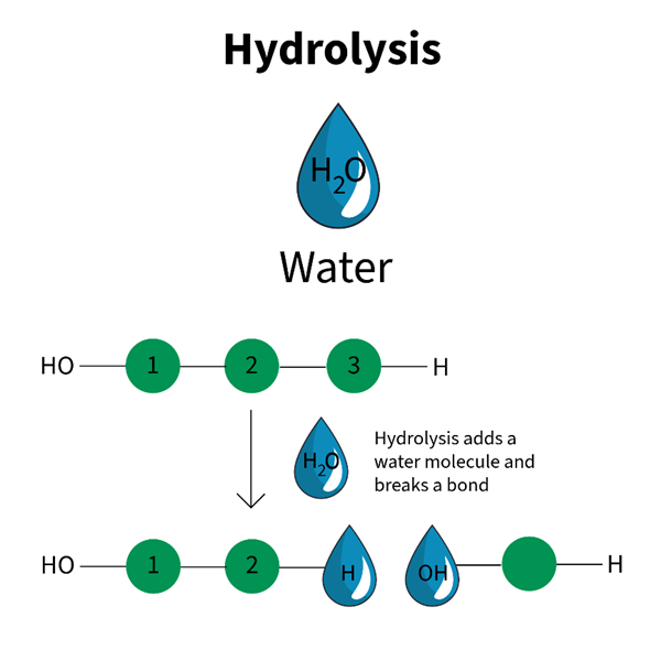Hydrolysis